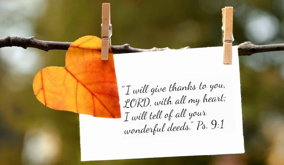 Day 16 – What do you give thanks for today?