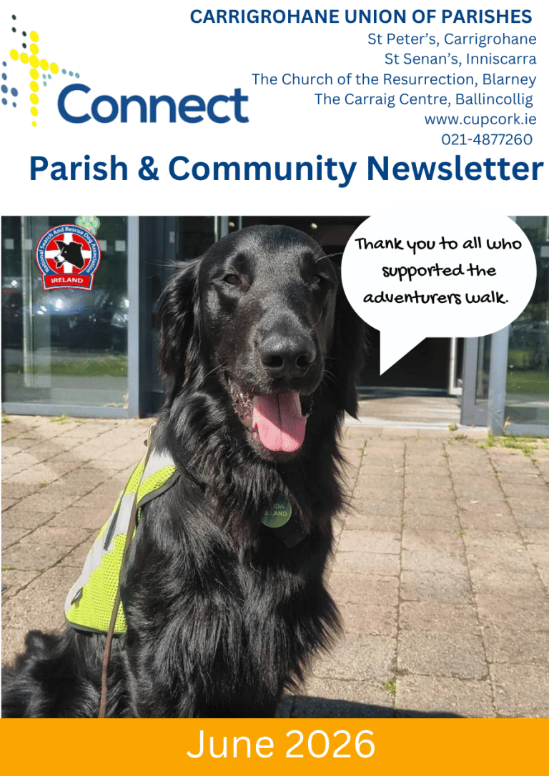 Connect Newsletter – June 2026